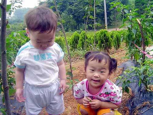 두 아이에게 어떤 아버지가 될 수 있을까 늘 생각합니다. 여름엔 그늘이 되어주고 겨울엔 따뜻한 품이 돼 줄 수 있을까요? 더 잘해야겠습니다. 